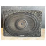 Alpine stereo speaker