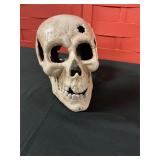Cast iron human skull life-size