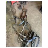 Horse Harness/ Bridle/reins