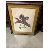 Jim Oliver Eastern Gray Squirrel Picture 27'x22'