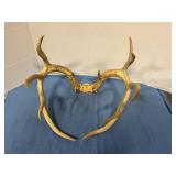 Deer Antler Rack