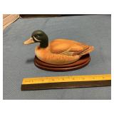 Blue-winged Teal Duck