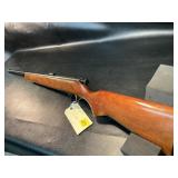 Glenfield 10 rifle 22 S, L, LR