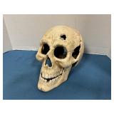 Cast Iron Skull