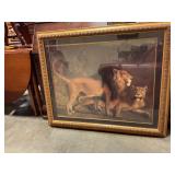 Framed Lion picture 45ï¿½x37ï¿½