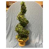 Spiral Topiary Tree in planter