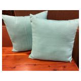 2 Throw Pillows