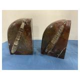 Real Fossil Bookend from Morocco