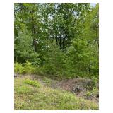 Online Only Reserve Real Estate Land Auction!