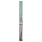 BASS PRO DEPTH MASTER FISHING ROD