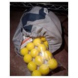 PLASTIC GOLF BALLS PLASTIC GOLF BALLS