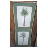 COCONUT PALM AND CANARY ISLAND DATE PALM PRINTS