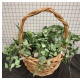 BASKET OF IVY