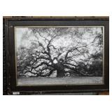 FRAMED ANGEL OAK TREE SCENE ON CANVAS