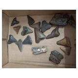 SHARKS TEETH, TRAY LOT