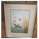 SIGNED/DATED FLYING DUCKS PRINT