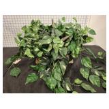 BASKET OF IVY