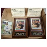 MARK MCGUIRE AND PAT SWILLING TRAY LOT