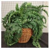 BASKET OF IVY