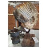 Fossil Ammonite, Metal Lantern, and Candle Holder