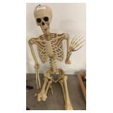 Lifesize Anatomical Skeleton Model