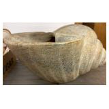 Large Textured Ceramic Shell Sculpture