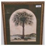 Framed Print of Palm Tree with Landscape Backgroun