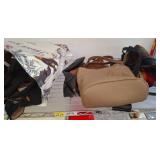 Handbags and Shoes Lot