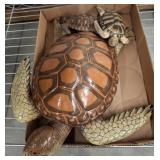 Wall Mount Plastic Turtles