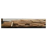 Natural Driftwood with Weathered Cavities