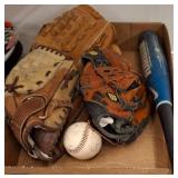 Baseball Bat, Gloves, and Ball Assortment