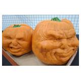 Decorative Pumpkin Faces