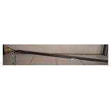 Walking Cane with Coin-Inset Metal Handle