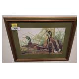 Framed Mallard Duck Wildlife Print