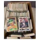 Baseball Trading Cards in Sleeves