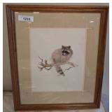 Framed Raccoon Print in Wooden Frame