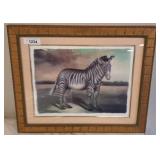 Framed Zebra Print with Gilded Wooden Frame
