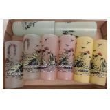 8 Frosted Glass Tumblers with Scenic Motif