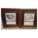 Framed Nautical-Themed Shell Prints