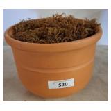 Terracotta Plant Pot With Dried Moss