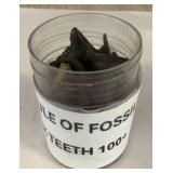 Fossilized Shark Teeth in Plastic Jar
