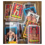 WWF Wrestling Trading Cards