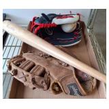 Baseball Bat, Gloves, and Ball Set