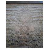 Safavieh Oregon Beige and Gray Area Rug