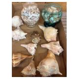 Sea Shells and Decorative Glass Vases