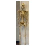 Plastic Anatomical Skeleton Model, 48in Tall