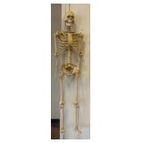 Plastic Anatomical Skeleton Model, 48in Tall
