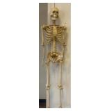 Plastic Anatomical Skeleton Model, 48in Tall