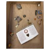 Various Pins and Badges