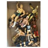 Wrestling Action Figures